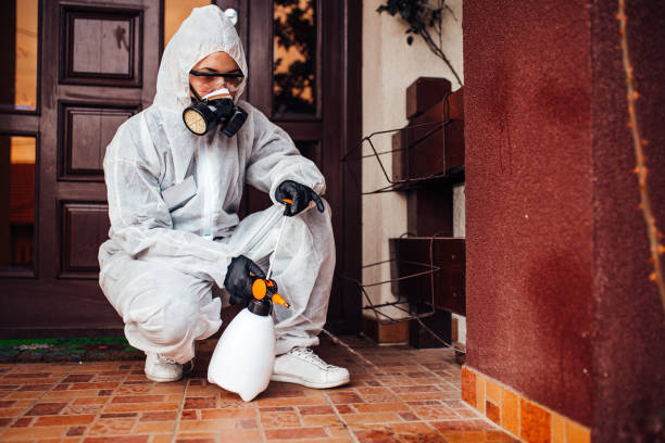 Reliable Bed Bug Control contractor in Liberty, KY by Nex Pest Control